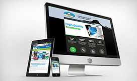 bsdinfotech pvt ltd
