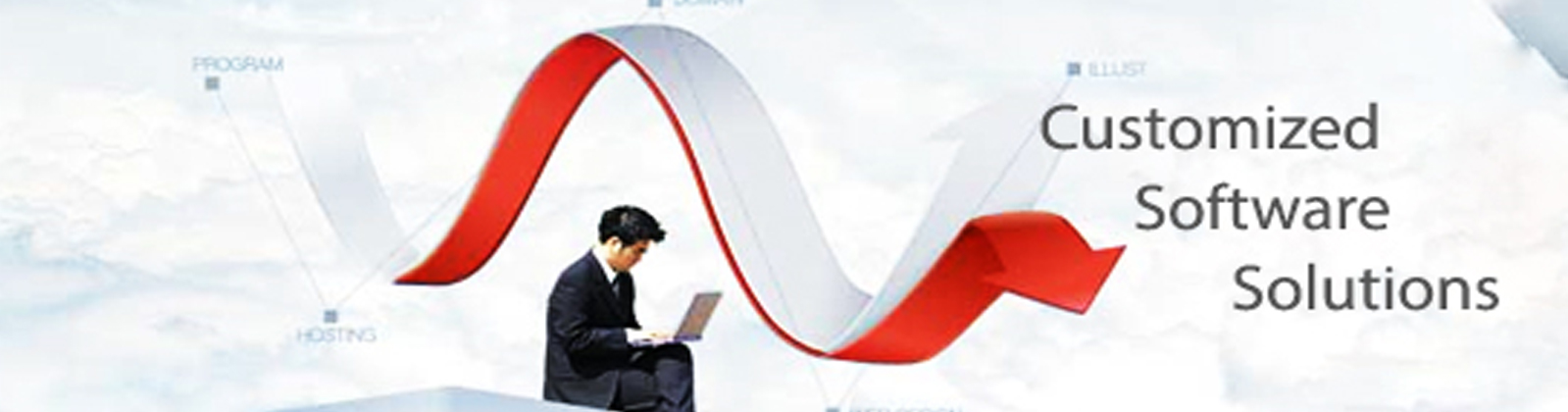 Customised Software Development