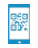 Access Right