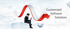 Customized Software Solutions
